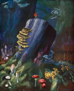 Species of Fungus by Leonard Robert Brightwell
