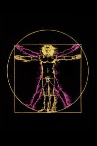 Vitruvian Man by Leonardo da (after) Vinci