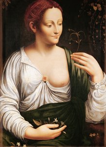 Columbine by Leonardo da (school of) Vinci