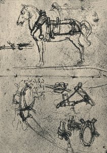 A Harnessed Cart-Horse and Studies of Harness by Leonardo da Vinci