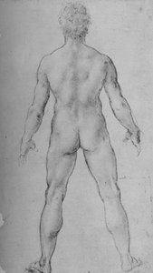 A Nude Man seen from the Back, c1480-1945