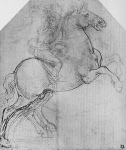 A Rider on a Rearing Horse by Leonardo da Vinci