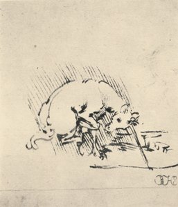 A Unicorn Dipping Its Horn into the Water, c1480 by Leonardo da Vinci