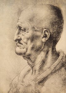 A Man Shown in Profile by Leonardo da Vinci
