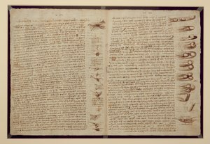 A Page from the Codex Leicester, 1508-12
