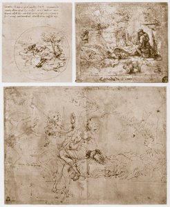 Allegories by Leonardo da Vinci