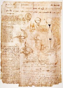 Anatomy Studies: Organs of the Abdomen... by Leonardo da Vinci