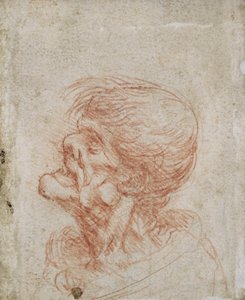 Caricature Head Study of an Old Man, c.1500-05