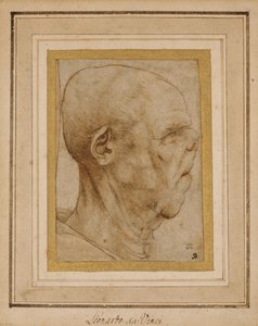 Caricature of the Head of an Old Man, in Profile to the Right, c.1507 by Leonardo da Vinci