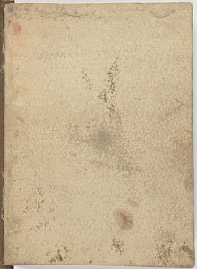 Code on the Flight of Birds by Leonardo da Vinci
