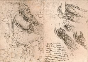 Drawing Illustrating the Representation of Hair Falling Down in Curls by Leonardo da Vinci