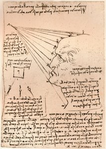 Drawing of a male head, illustrating the practice of painting, c1472-c1519 by Leonardo da Vinci