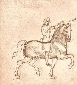 Drawing of a Walking Horse by Leonardo da Vinci
