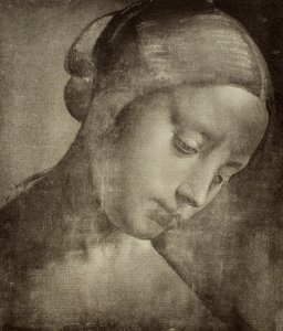 Feminine Head, Drawing by Leonardo da Vinci by Leonardo da Vinci