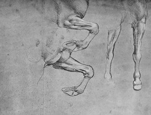 Four Studies of Horses Legs