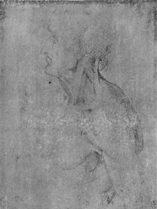 Head and Bust of an Old Man to the Left
