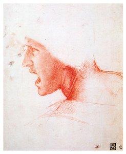 Head of a Man Shouting in Profile to the Left, 1503-1504