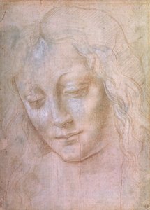 Head of a woman by Leonardo da Vinci