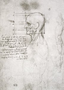 Head of an Old Man in Profile, facsimile copy by Leonardo da Vinci