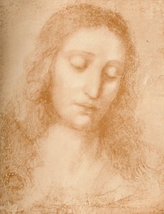 Head of the Redeemer, 15th Century by Leonardo da Vinci