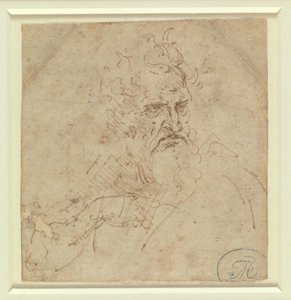 Head of a Grim-Looking Old Man with Right Arm by Leonardo da Vinci