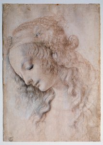 Portrait of a Girl by Leonardo da Vinci