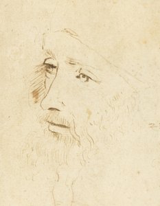 Portrait of Leonardo da Vinci