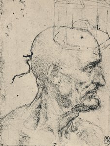 Profile to Right of a Bald Man, c1480, 1945 by Leonardo da Vinci