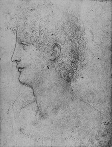 Profile to the Left of a Curly-Headed Youth