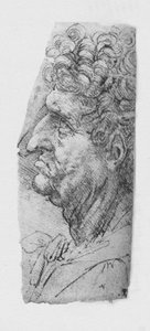 Profile to the Left of an Elderly Man with Curly Hair