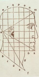 Proportion Study of the Human Head