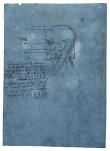 Proportional Study of a Male Head in Profile