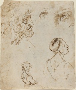 Sheet of Studies