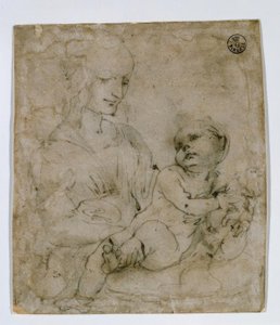 Study for Madonna with Cat by Leonardo da Vinci