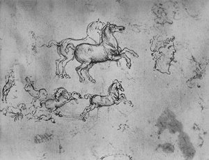 Studies of Galloping Horses and a Head