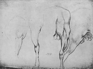 Studies of Horses Legs by Leonardo da Vinci