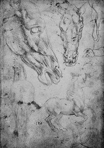 Studies of Horses and of Horses