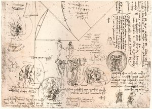 Studies of Emblems, c. 1472-c. 1519 by Leonardo da Vinci