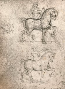 Study for the Sforza Monument by Leonardo da Vinci