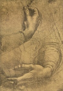 Study of Female Hands by Leonardo da Vinci