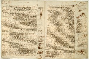 The Codex Hammer or Codex Leicester, 1508-12