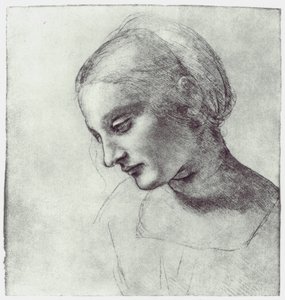 The Head of a Madonna by Leonardo da Vinci
