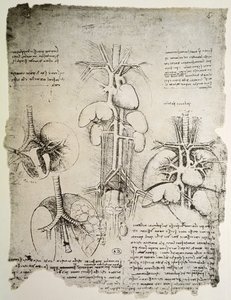 The Heart and the Circulation, facsimile of the Windsor book