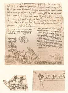 Three drawings by Leonardo da Vinci