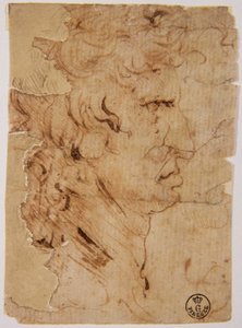 Unknown Image