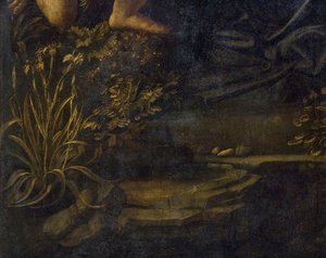 Virgin of the Rocks