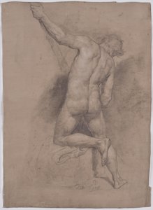 Male Nude from the Back