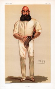 Cricket