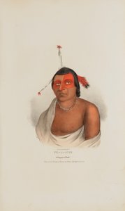 PE-A-JICK; A Chippewa Chief, from The Aboriginal Portfolio