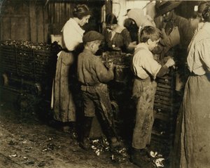 10 Year Old Jimmie Who Has Been Shucking 3 Years with an 11 Year Old Boy Who Shucks 7 Pots at Varn und Platt Canning Co., Bluffton, South Carolina, 1913